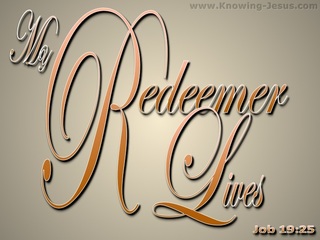 Job 19:25 My Redeemer Lives (beige)